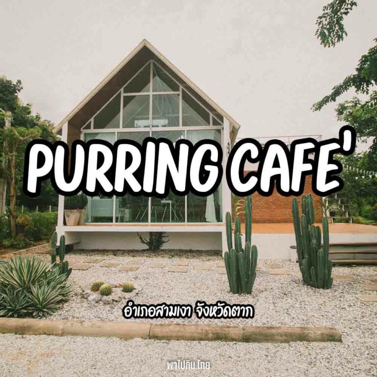Purring Cafe’